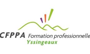 Logo 1